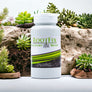 RootFix Saccharo Biotic