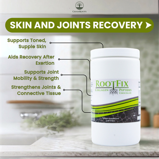 RootFix Collagen Peptide - Chocolate